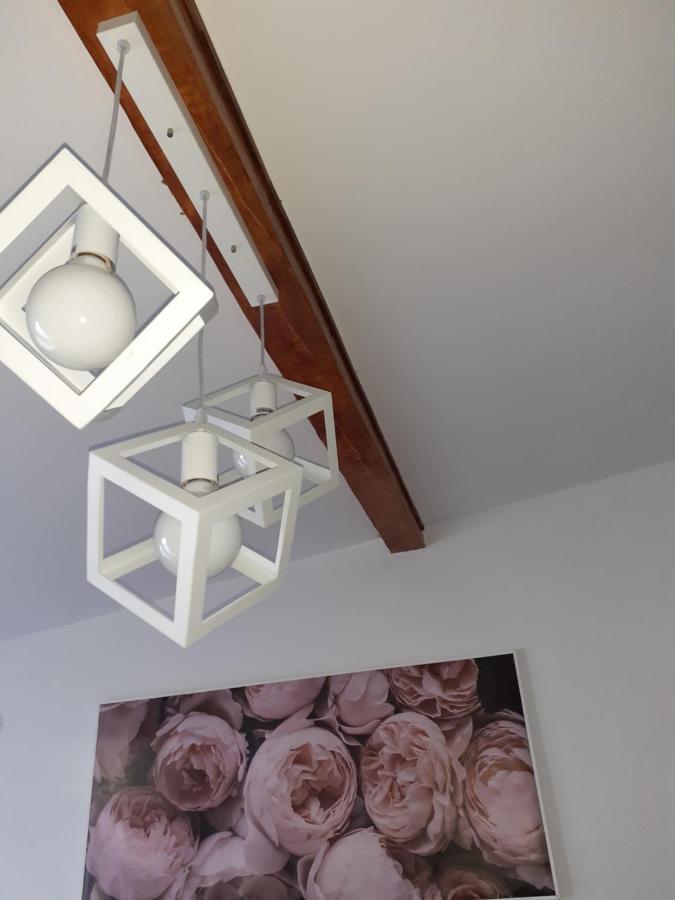 Flora Novi Sad Apartman Kültér fotó