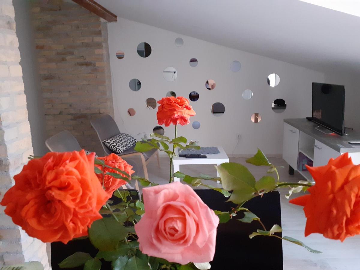 Flora Novi Sad Apartman Kültér fotó